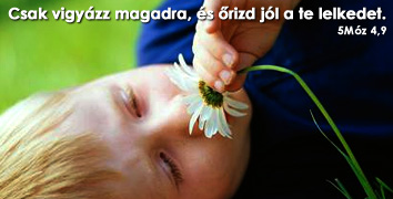 Napiige