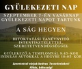 Gyülekezeti nap