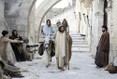 15 nativity-movie-31.jpg