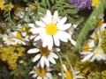 HPIM5082.JPG