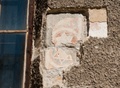 DSC_7164.jpg