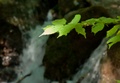 DSC_7193.jpg