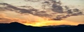 DSC_7317.jpg