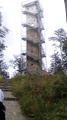 14519741.jpg