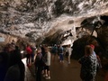 20220816_131708.jpg