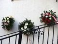 DSC07555.JPG