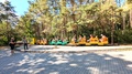 PXL_20260708_144039013.RAW-01.COVER.jpg