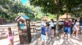 PXL_20260708_152424536.RAW-01.COVER.jpg